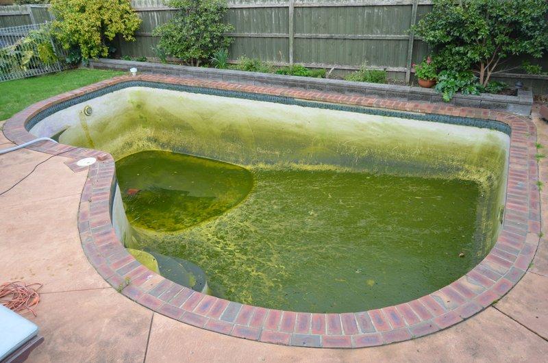 Clean a dirty pool